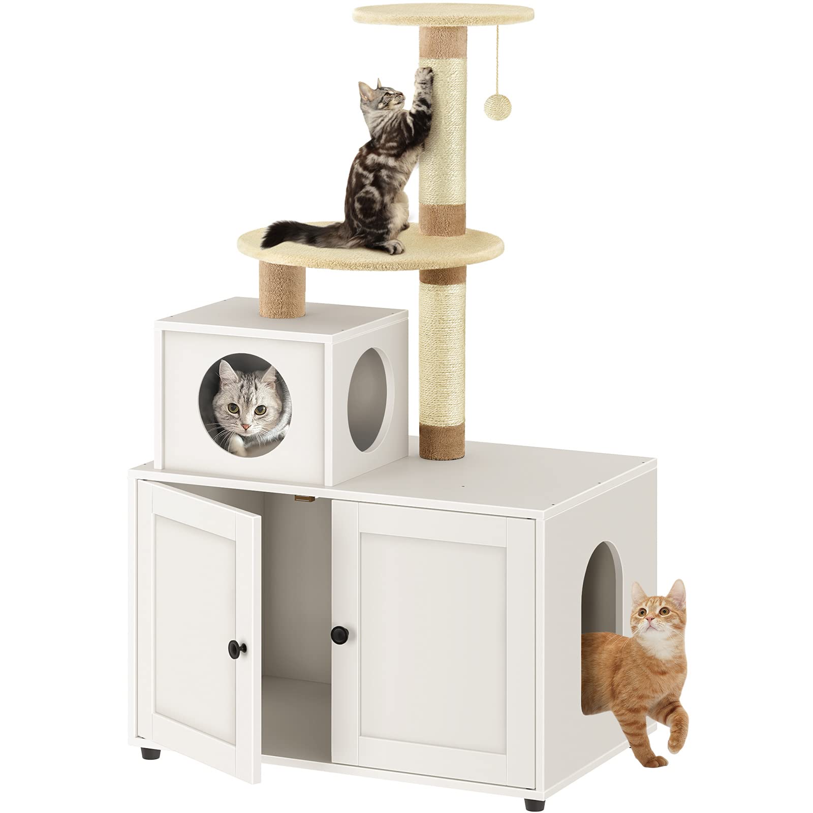 cat litter box